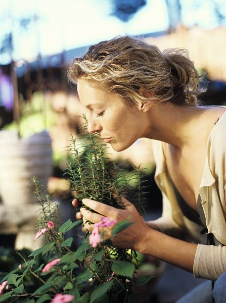 Design Pics / Thinkstock Ausgabe 12/2012- Seite 24 Design Pics / Thinkstock Ausgabe 12/2012- Seite 24