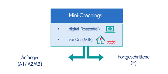 pDL Coaching