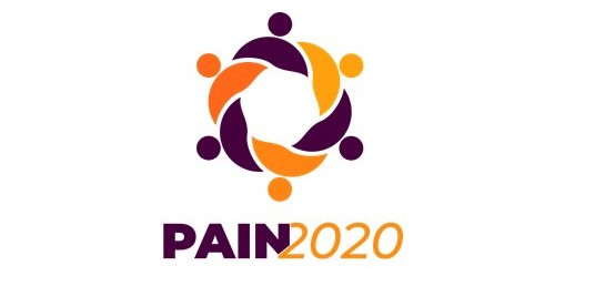 PAIN2020 Logo