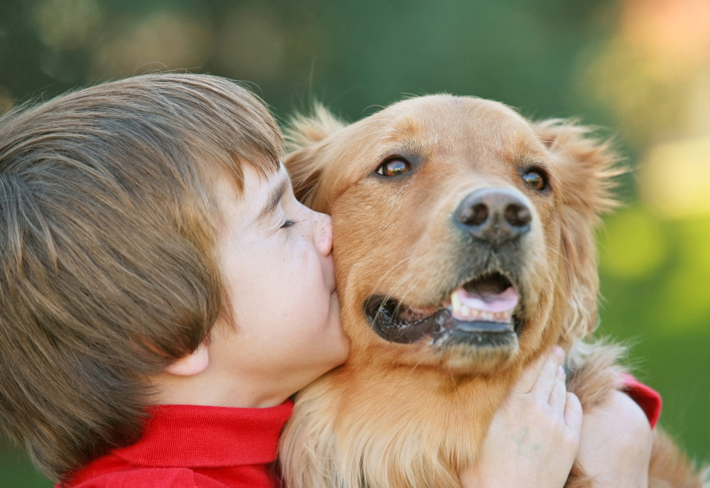 Junge küsst Hund Junge küsst Hund