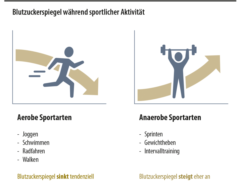 Grafik: Blutzuckerspiegel während sportlicher Aktivität