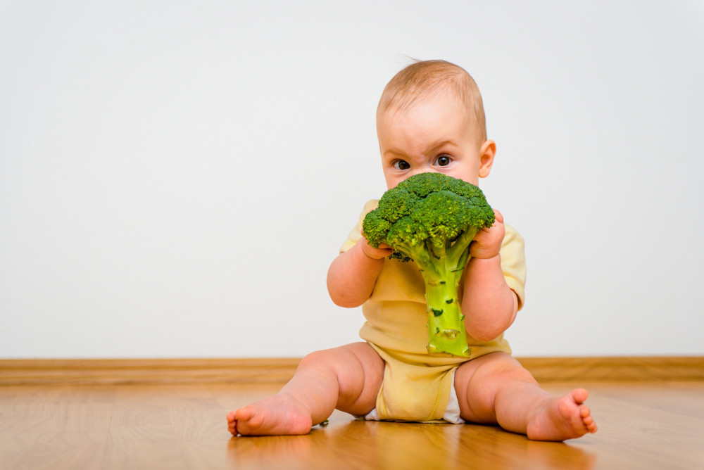 Auf dem Boden sitzendes Baby, dass an Broccoli kaut. 
