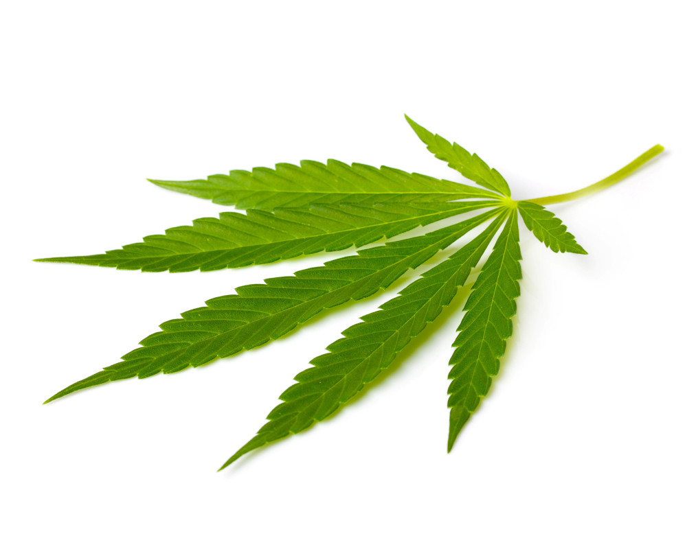 Cannabisblatt