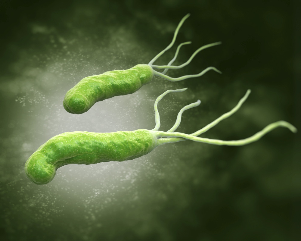 Abbildung des Bakteriums Helicobacter Pylori Abbildung des Bakteriums Helicobacter Pylori