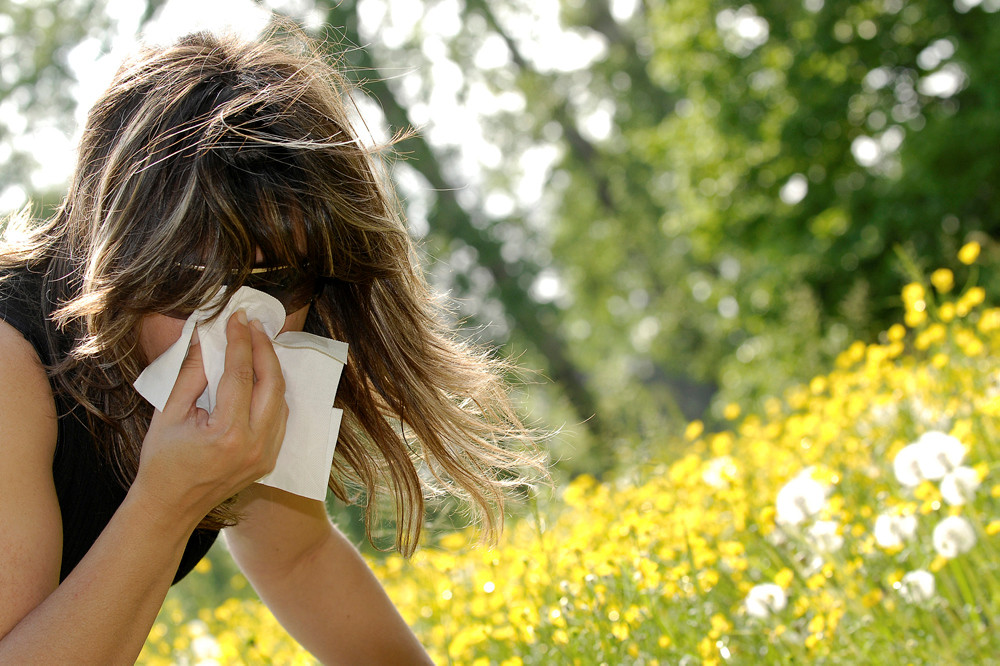 Frau mit Sonnenbrille vor blühendem Feld putzt sich die Nase
