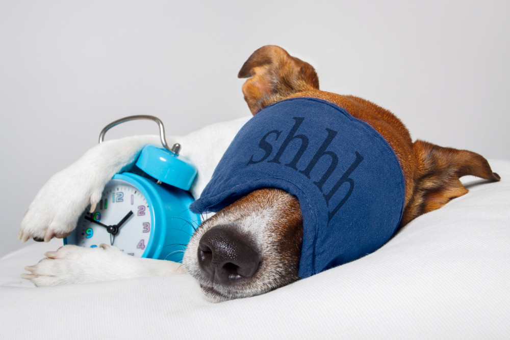 Wer nach der Umstellung auf Sommerzeit gleich nach den neuen Zeiten ins Bett geht, bekommt Schlafstörungen schneller in den Griff. Wer nach der Umstellung auf Sommerzeit gleich nach den neuen Zeiten ins Bett geht, bekommt Schlafstörungen schneller in den Griff.