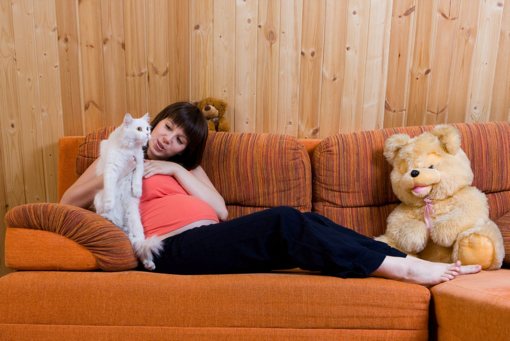 Schwangere mit Katze und Teddybär auf dem Sofa