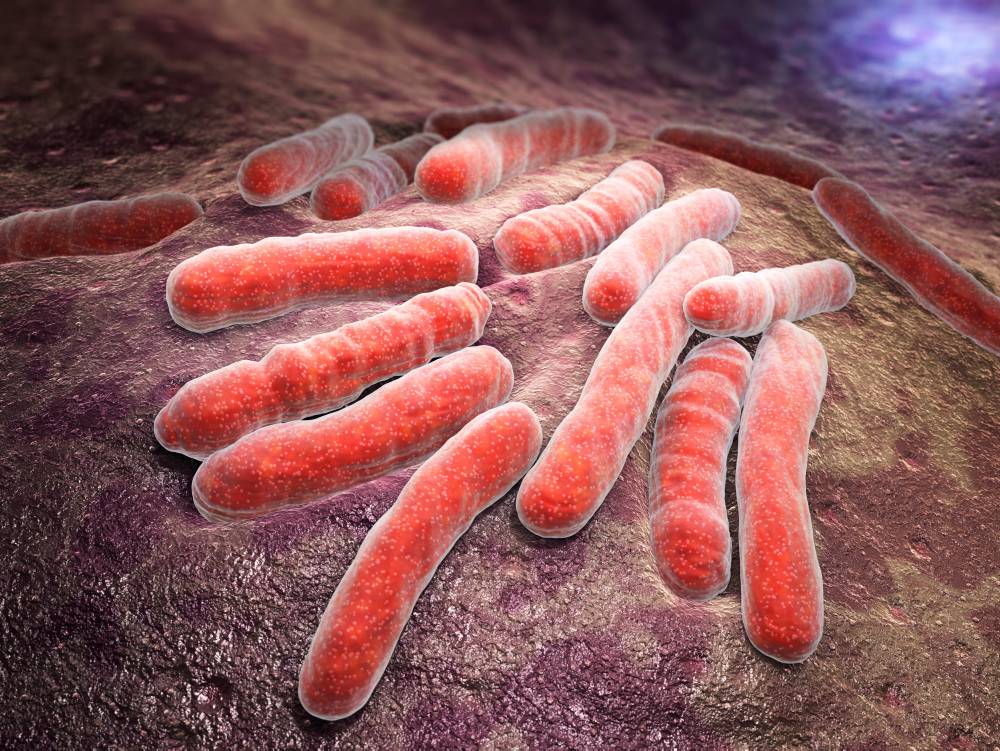 Mycobacterium tuberculosis (Tuberkuloseerreger) Mycobacterium tuberculosis (Tuberkuloseerreger)
