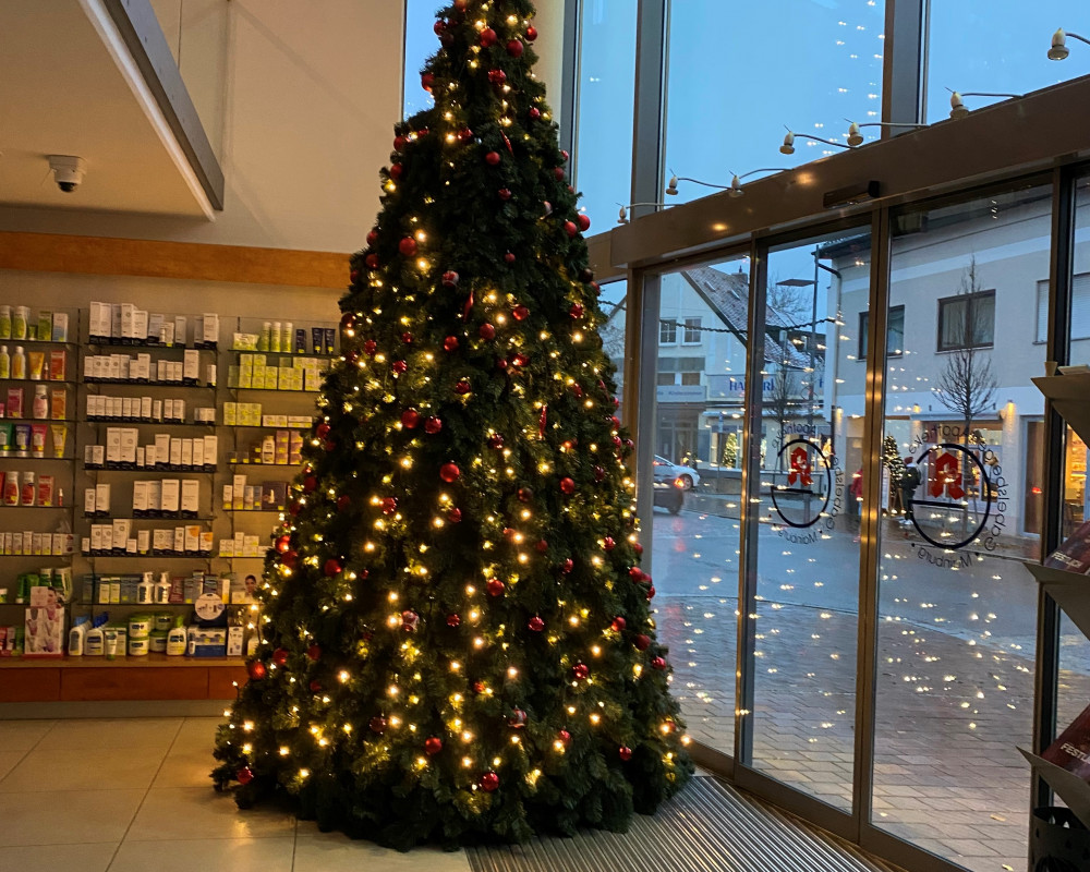 Weihnachtsbaum in der Gabelsberger Apotheke