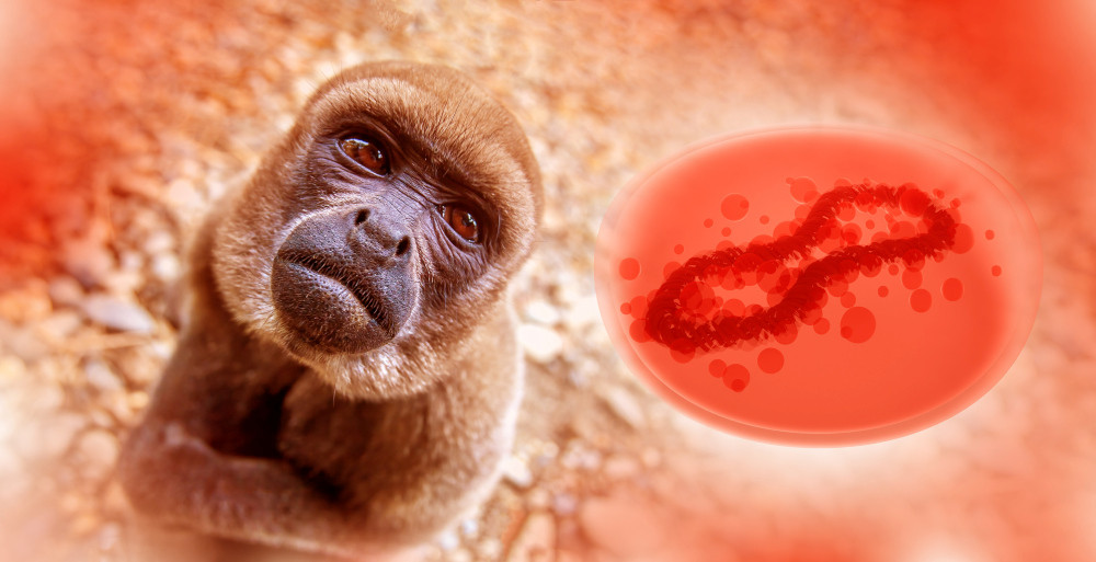 Das Affenpocken-Virus fliegt um einen Affen herum