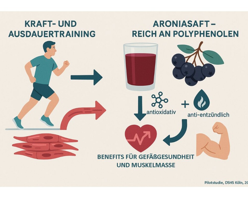 Schaubild: Studie zeigt positiven Einfluss des Trinkens von Aroniasaft in Kombination mit Kraft- und Ausdauertraining bei Menschen mit Prä-Diabetes mellitus Schaubild: Studie zeigt positiven Einfluss des Trinkens von Aroniasaft in Kombination mit Kraft- und Ausdauertraining bei Menschen mit Prä-Diabetes mellitus