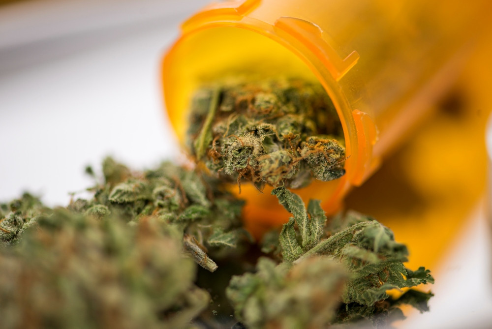km_cannabis km_cannabis