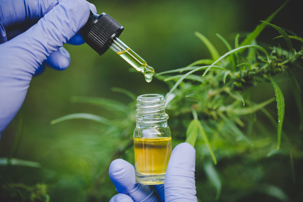 Pipette mit Öl, im Hintergrund Cannabispflanze