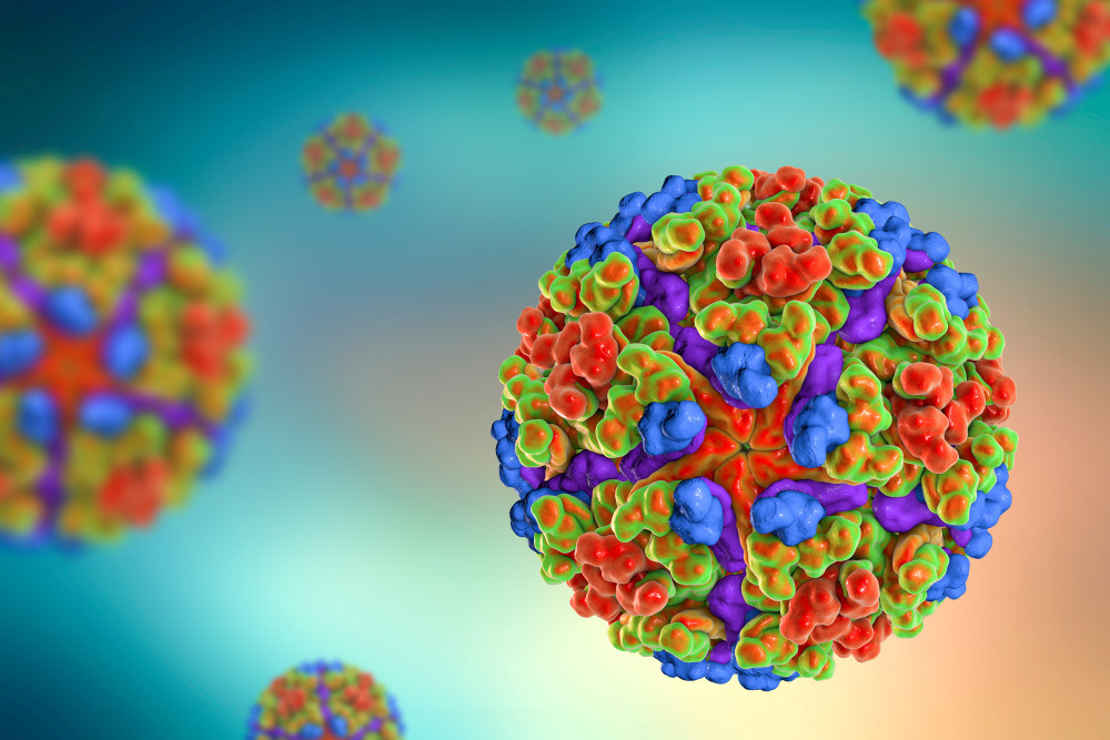 Illustration des Chikungunya-Virus