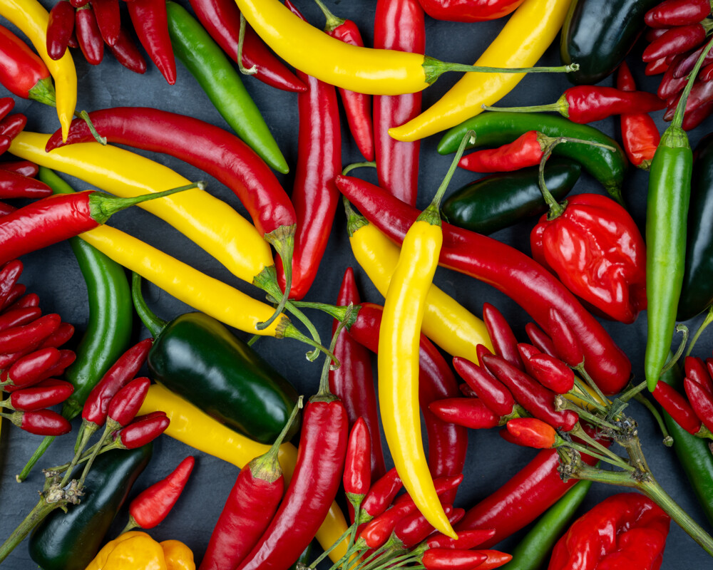 Verschiedene Chilischoten in rot, gelb und grün.
