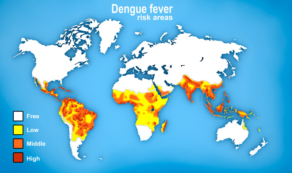 Weltkarte, die Verbreitung von Dengue-Fieber anzeigt