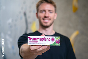 Traumaplant Motiv