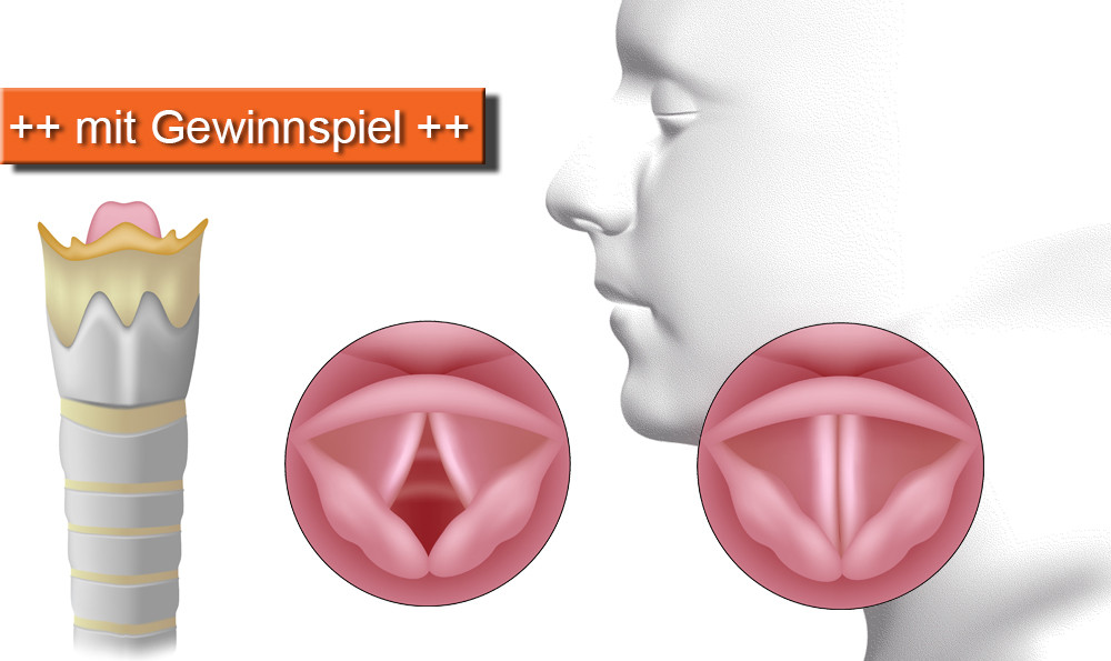 eTraining_heiserkeit_grafik