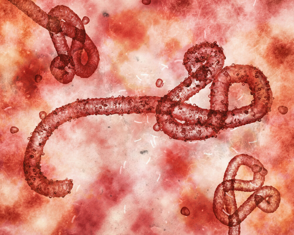 Mikroskopische Ansicht der Ebola-Virus-Illustration
