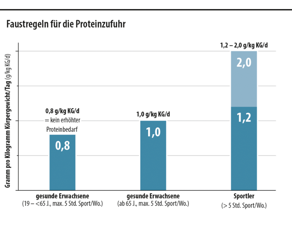Grafik: Faustregeln für die Proteinzufuhr