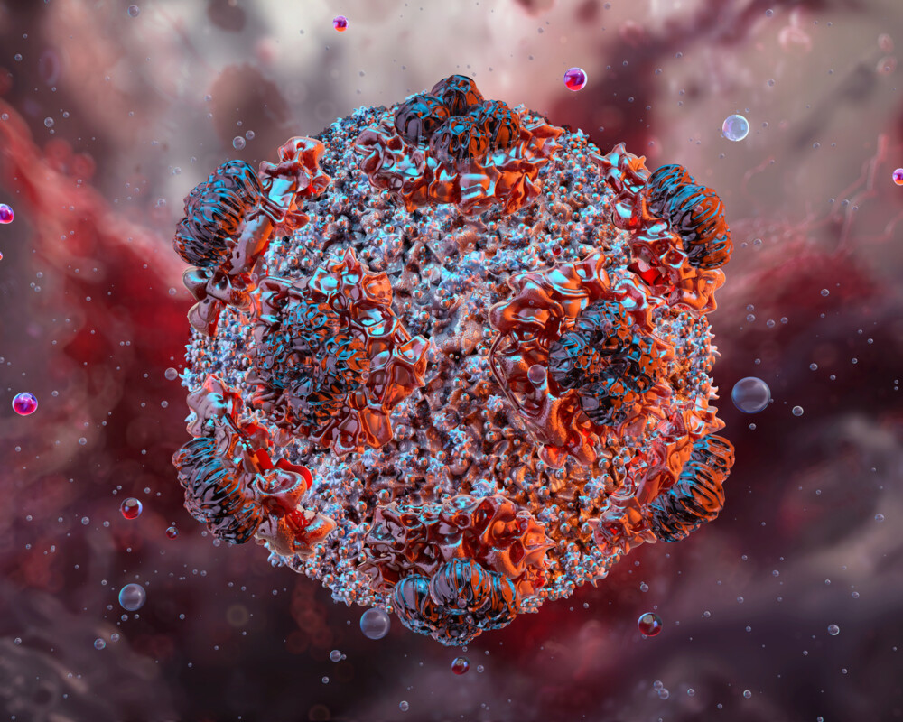 Hantavirus 3D-Virusstruktur, RNA-Virus