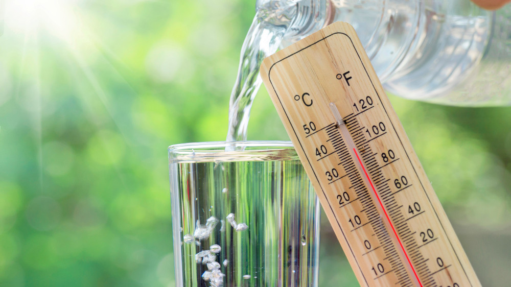 Wasserglas mit angelehntem Thermometer (38 Grad Celsius / 100 Grad Fahrenheit)