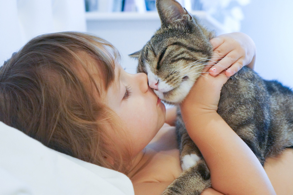 Kleinkind küsst Katze