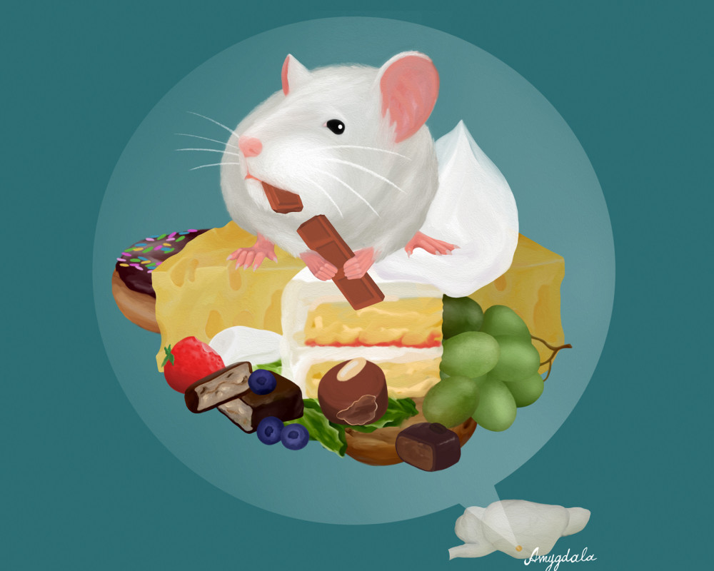 Illustration Maus auf Lebensmitteln