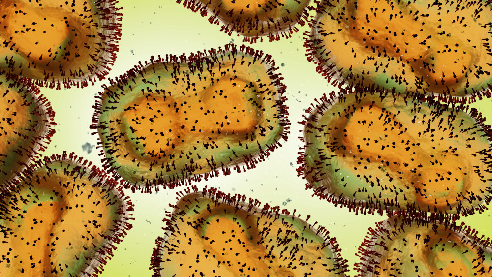 Mpox-Virus unter dem Mikroskop