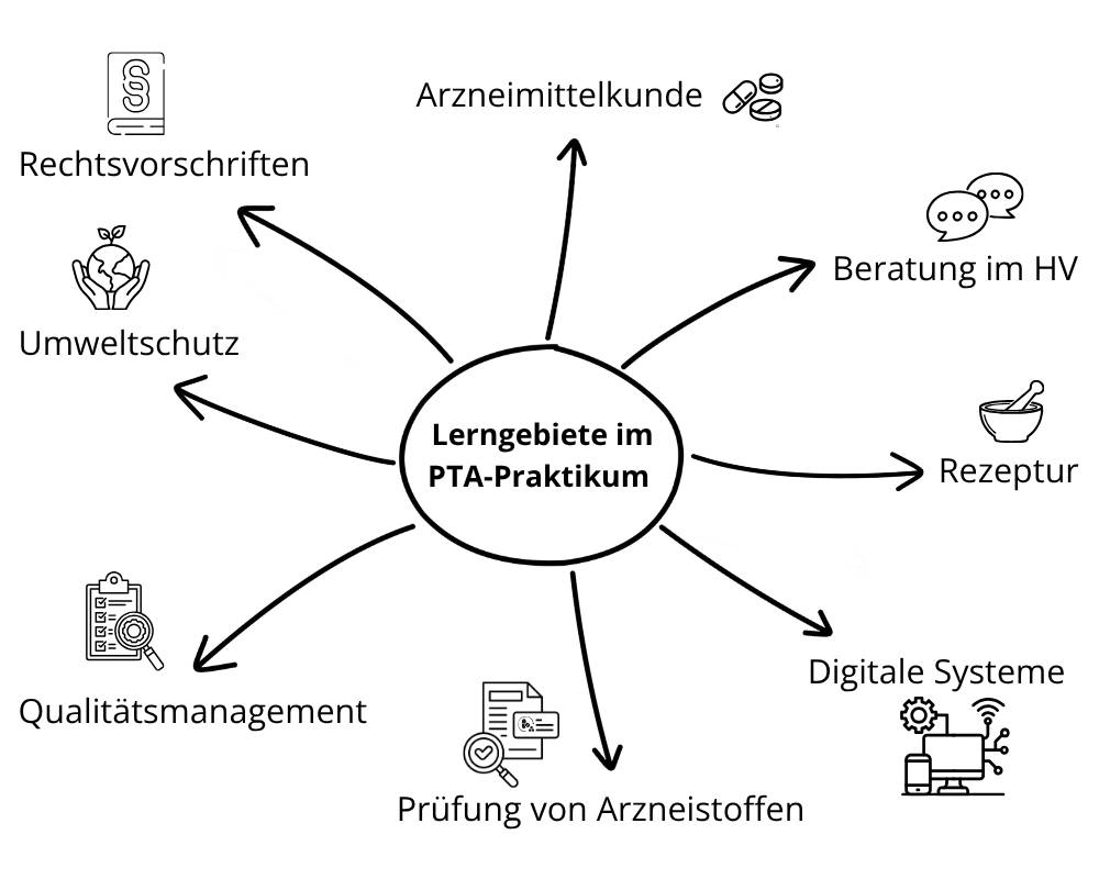 Grafik: Lerngebiete im PTA-Praktikum