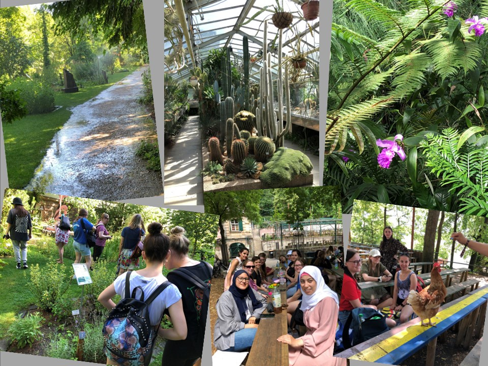 Impressionen vom Besuch des Botanischen Gartens der Universität Erlangen