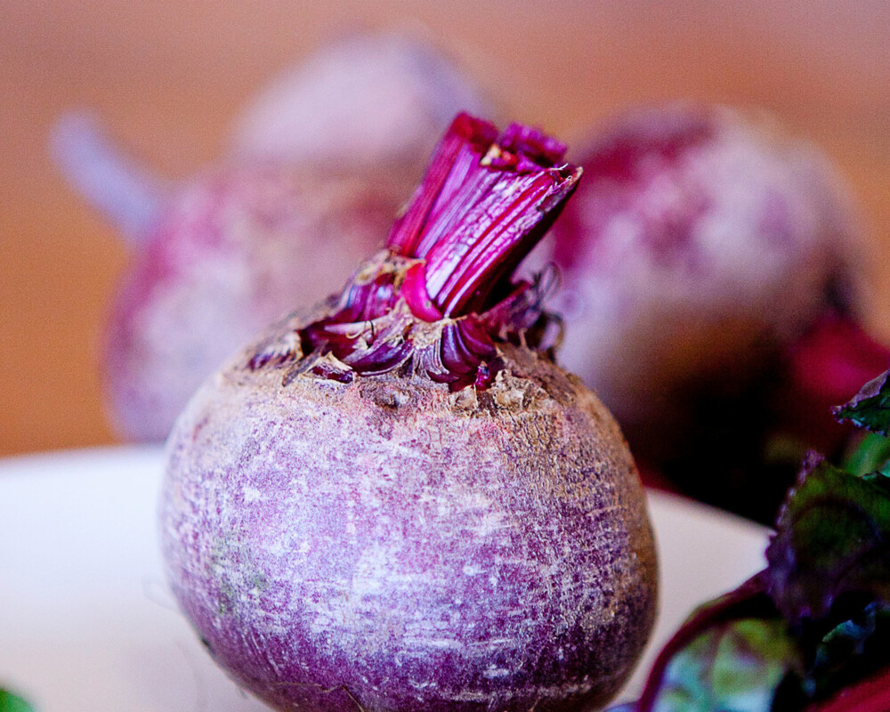 Rote Rübe 