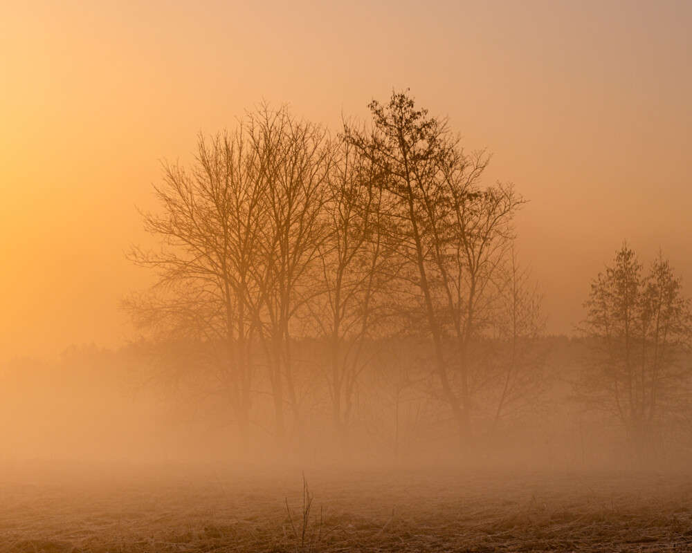 Durch Saharastaub gelb gefärbter Sonnenaufgang