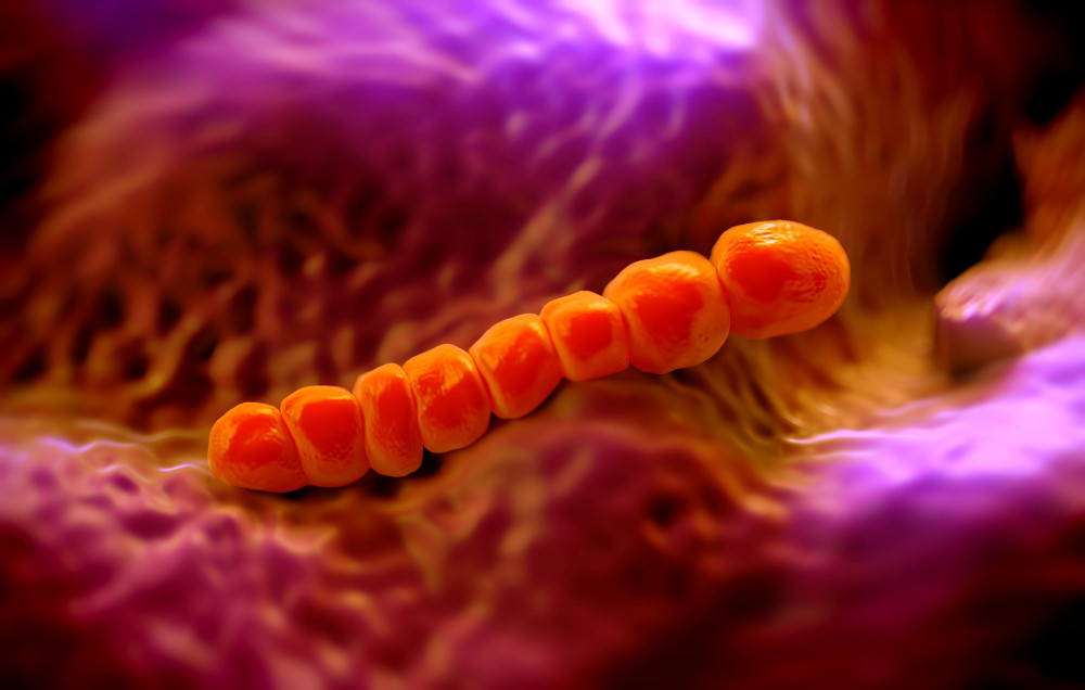 Hochaufgelöste Aufnahme von Streptococcus pneumoniae