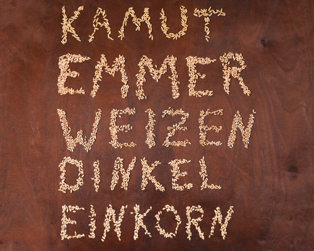 Aus Getreidekörnern gebildete Namen der Getreidearten Kamut, Emmer, Weizen, Dinkel und Einkorn.