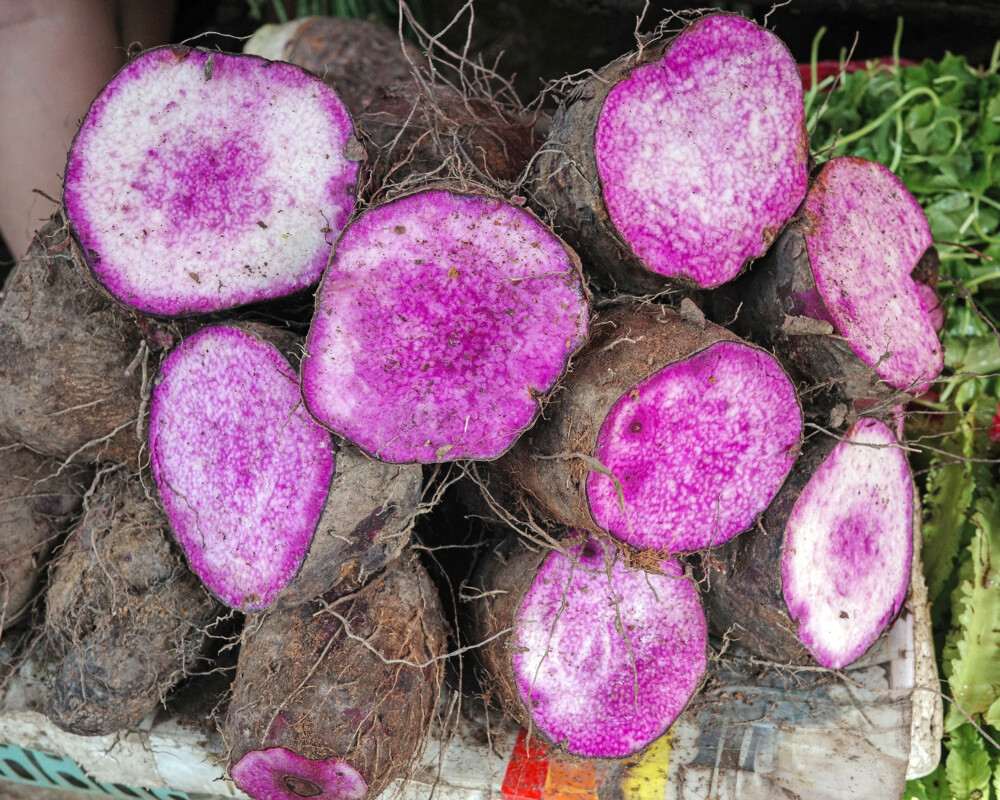 Nahaufnahme der Struktur einer rohen violetten Yamswurzel mit leuchtend violettem Fruchtfleisch. 