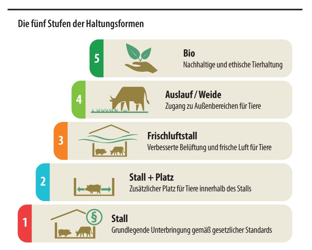 Grafik: Die fünf Stufen der Haltungsformen Grafik: Die fünf Stufen der Haltungsformen