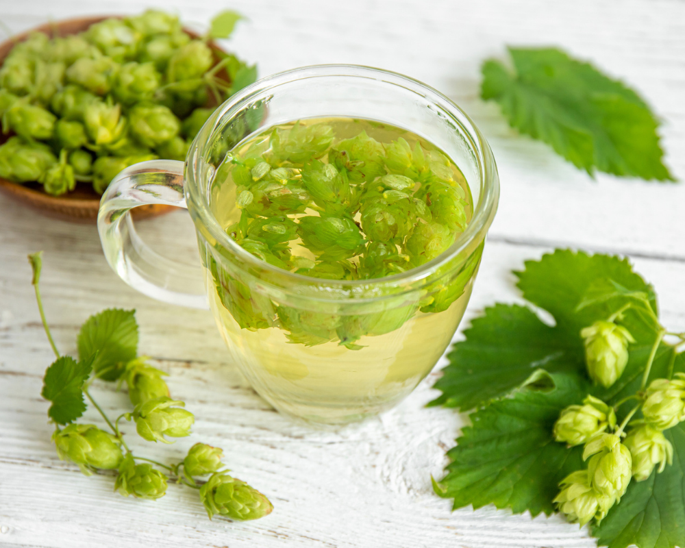 Hopfen