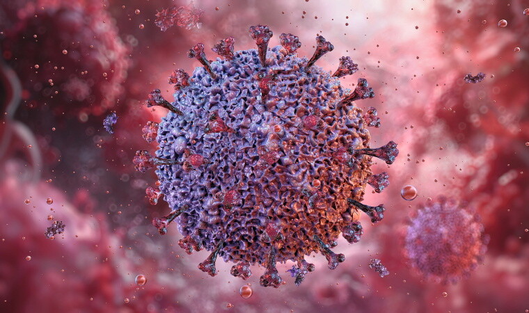 Epstein-Barr-Virus (EBV)