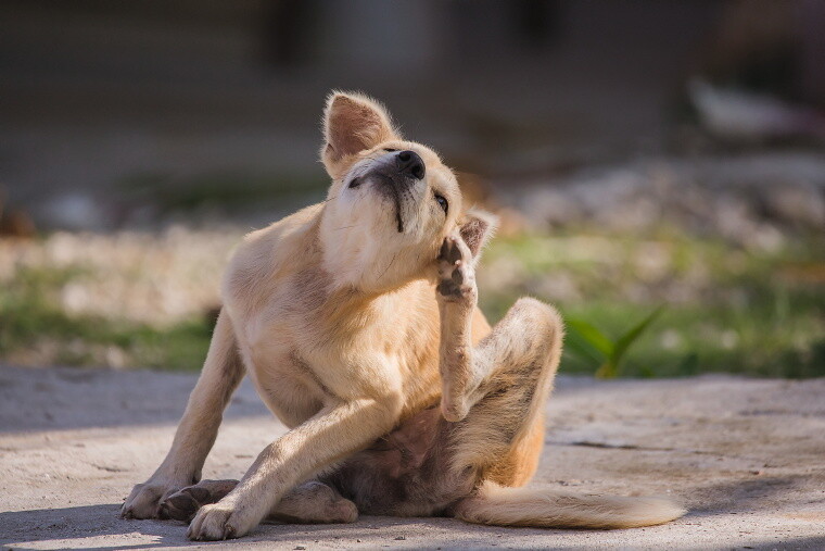 10pta_istockphoto-1155876248