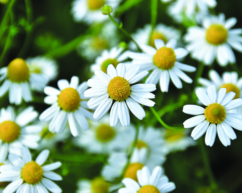 10pta_AdobeStock_141703516