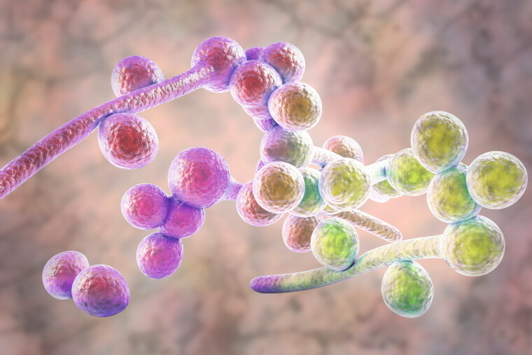 12pta_istockphoto-2174130512-1024x1024