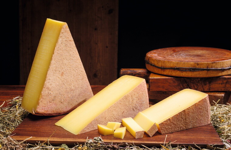 12pta_AdobeStock_465644724_Preview