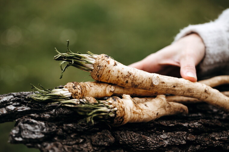 12pta_istockphoto-1364936534-1024x1024