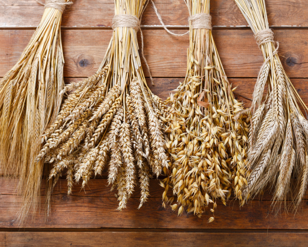 iStock_1013817256_{C9827F9D-FFAD-47A4-A9B3-99FD2C40818F}.jpg