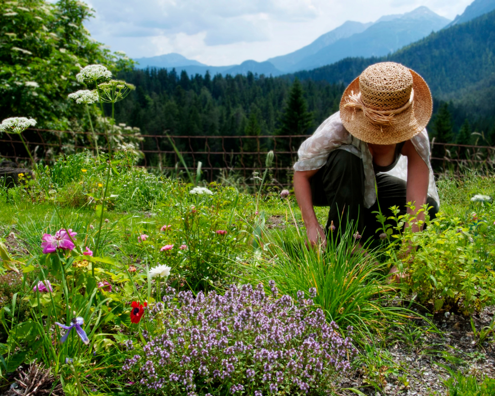 Frau in der Natur (Berge)
