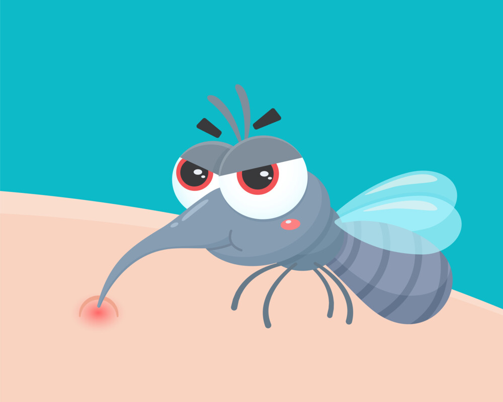 Illustration: Mücke saugt Blut