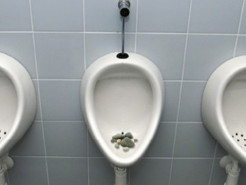 l. S.  Toilette: rorem/shutterstock.com | Steine: victorburnside/istockphoto.com; Ausgabe 11/2011-  Seite 130