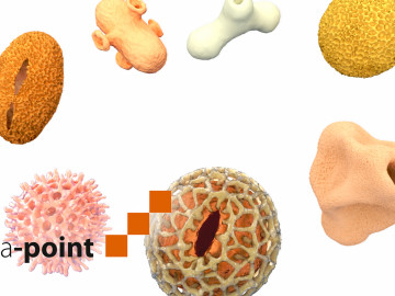 Pollen und pta point