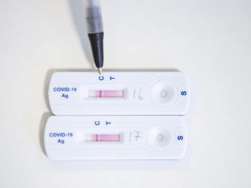 zwei Antigentests 